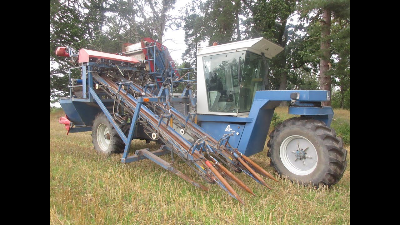 Asa-Lift SP-200 carrot harvester selfpropelled FOR SALE!