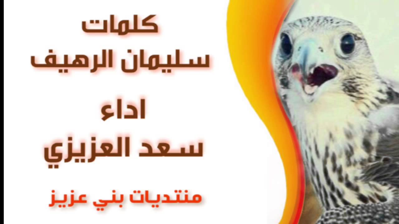 #بني_عزيز