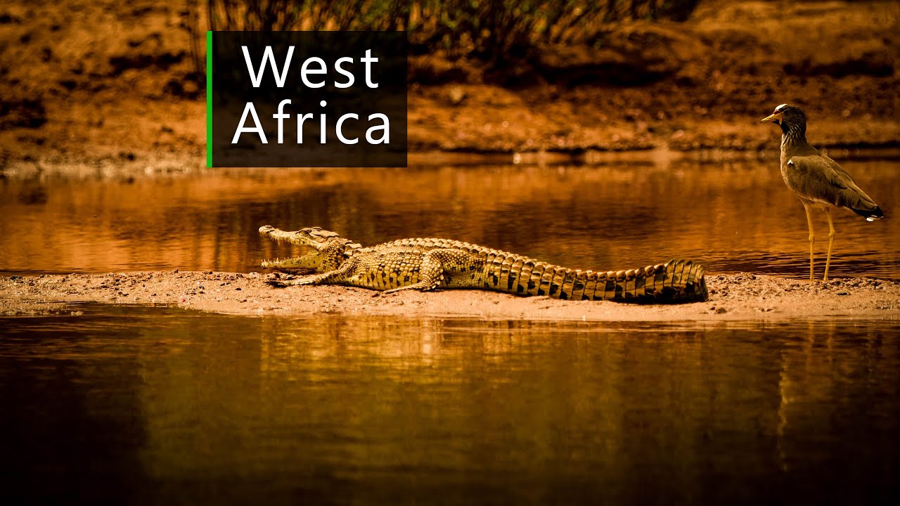 Dusk on the river Gambia - Sounds of Africa