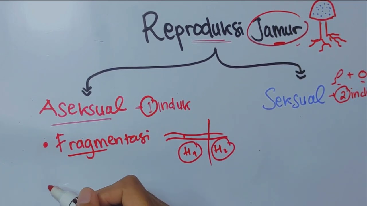 Reproduksi Jamur (Fungi)