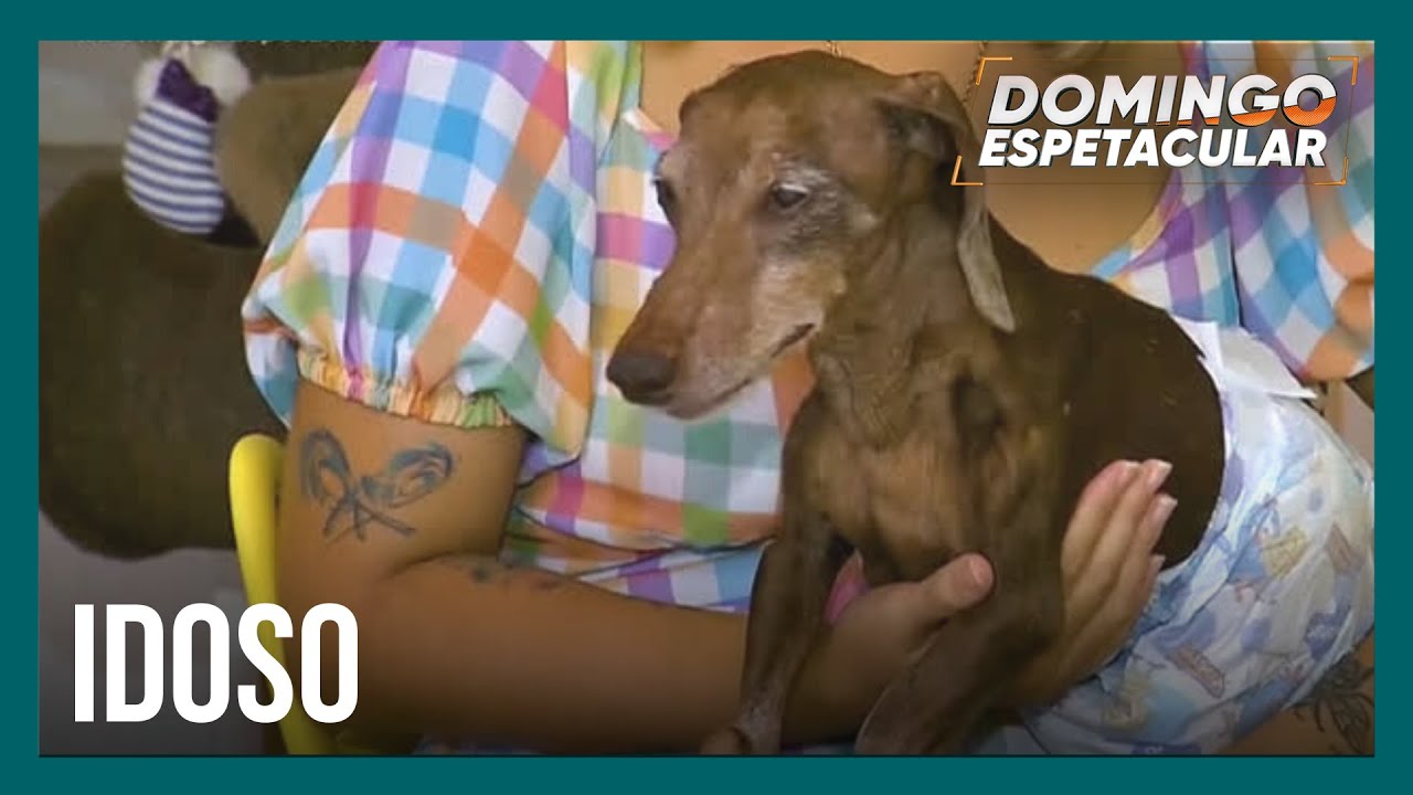 Cachorro de 20 anos de idade se torna celebridade nas redes sociais
