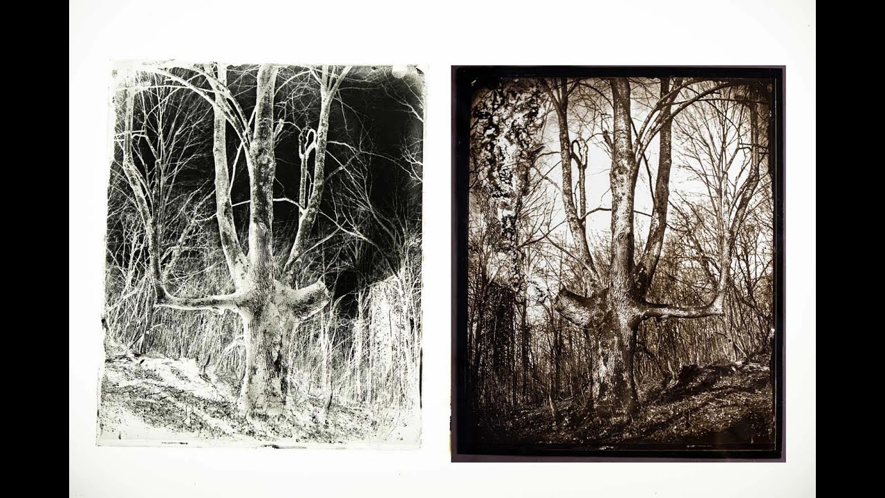 Hand Retouching of Glass Negatives. PHOTOSHOP, AI, WATCH AND LEARN!