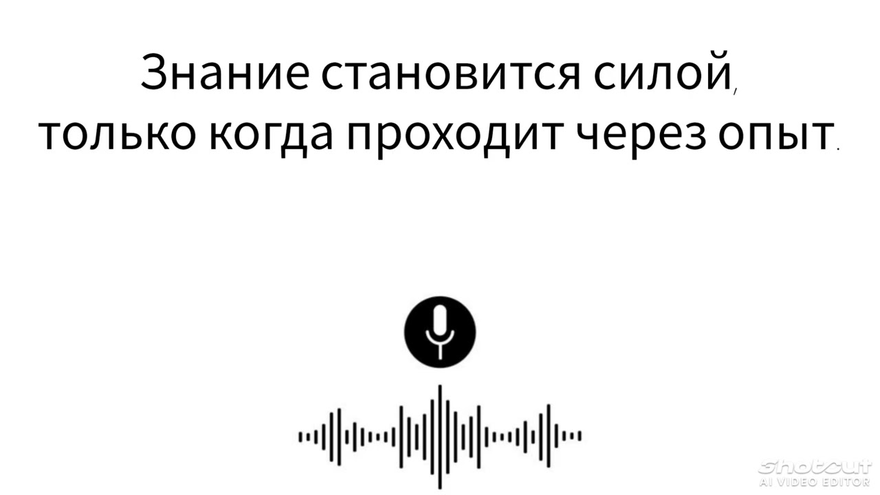 Знание становится силой, только когда проходит через опыт.