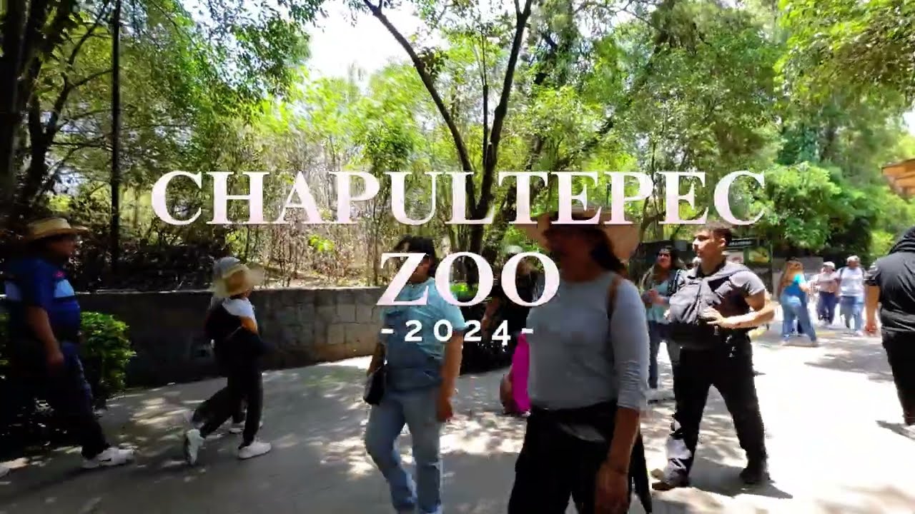 Chapultepec Zoo | Mexico City | 4k Walking tour