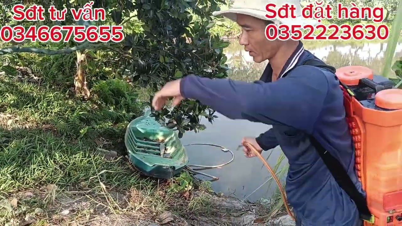 Chia sẻ phân hữu cơ kích bông lớn trái bán tháng 2.3 nha cả nhà 
