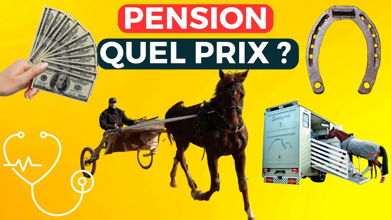 Combien COUTE la PENSION Chez un ENTRAINEUR ?
