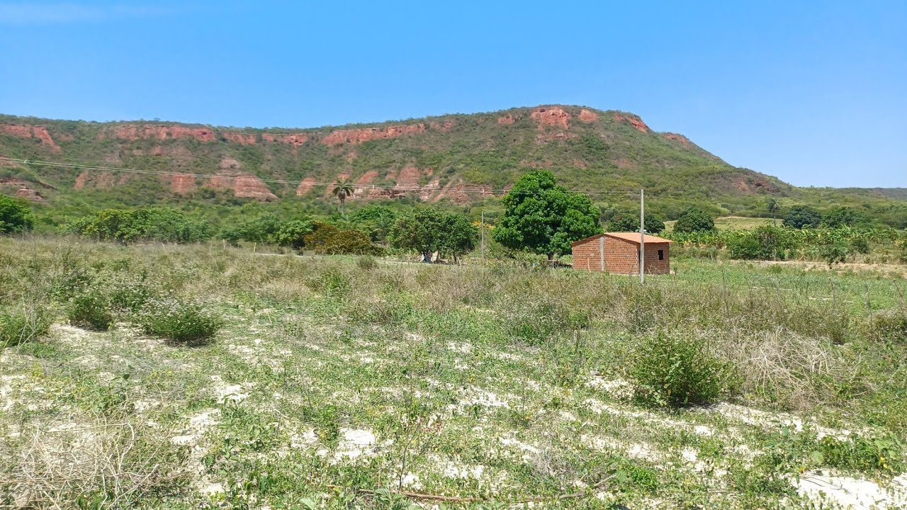 Vendo barato grande oportunidade de negócio 30 mil 1 hectare 8799102 3154 