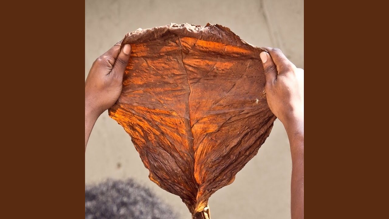 Grabba Leaf (feat. Donv3ra)