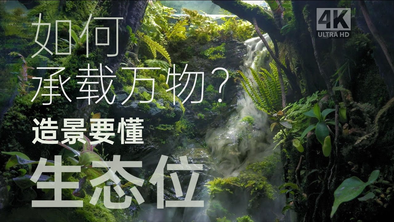 [4K] 如何利用生態位差異承載動植物【每個生態景觀都是一首自然的贊歌】｜野趣三川Leon