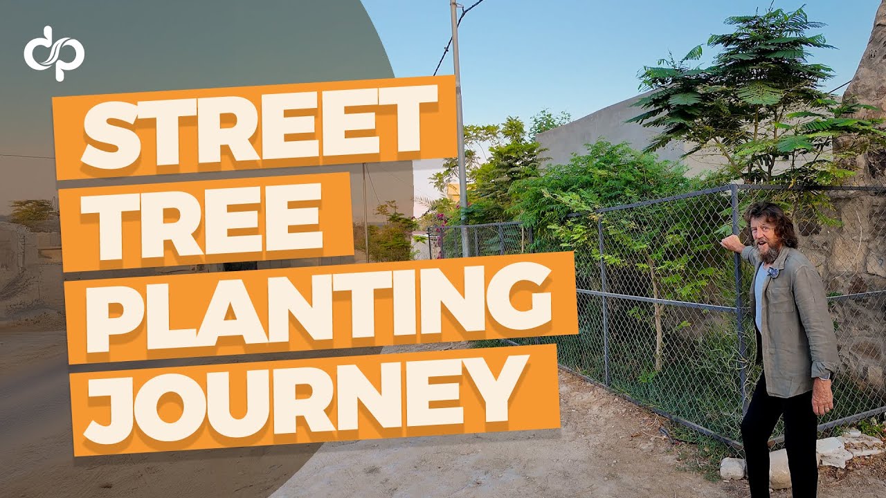 Street Planting Journey at the Greening the Desert Project