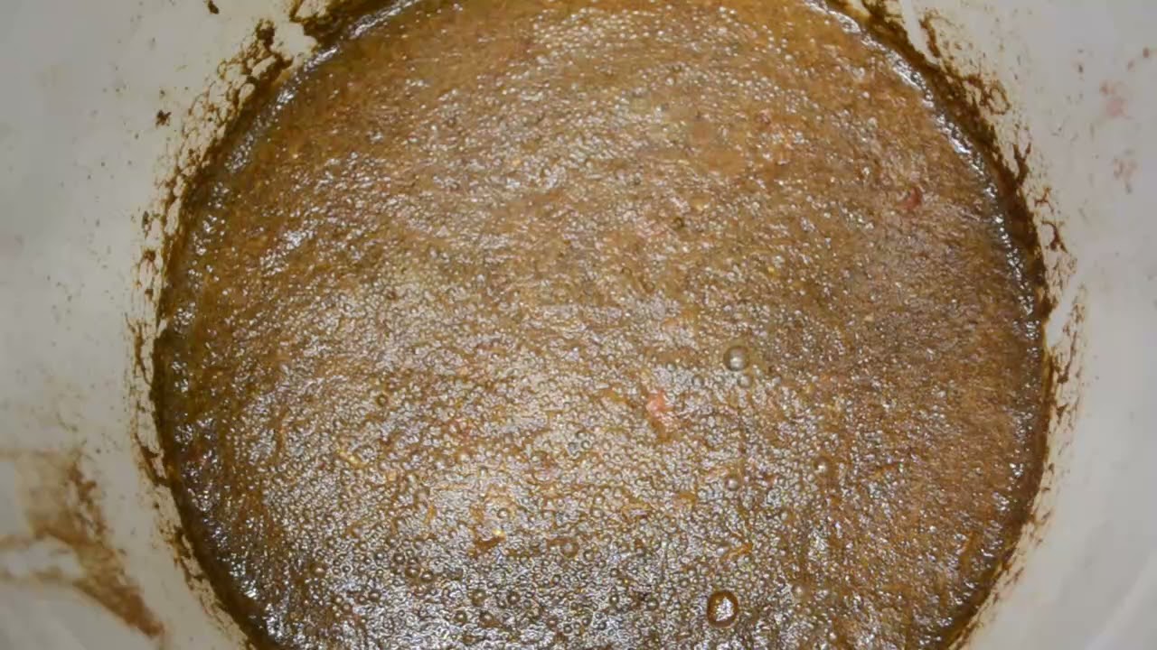Fermented Bug Frass fertilizer