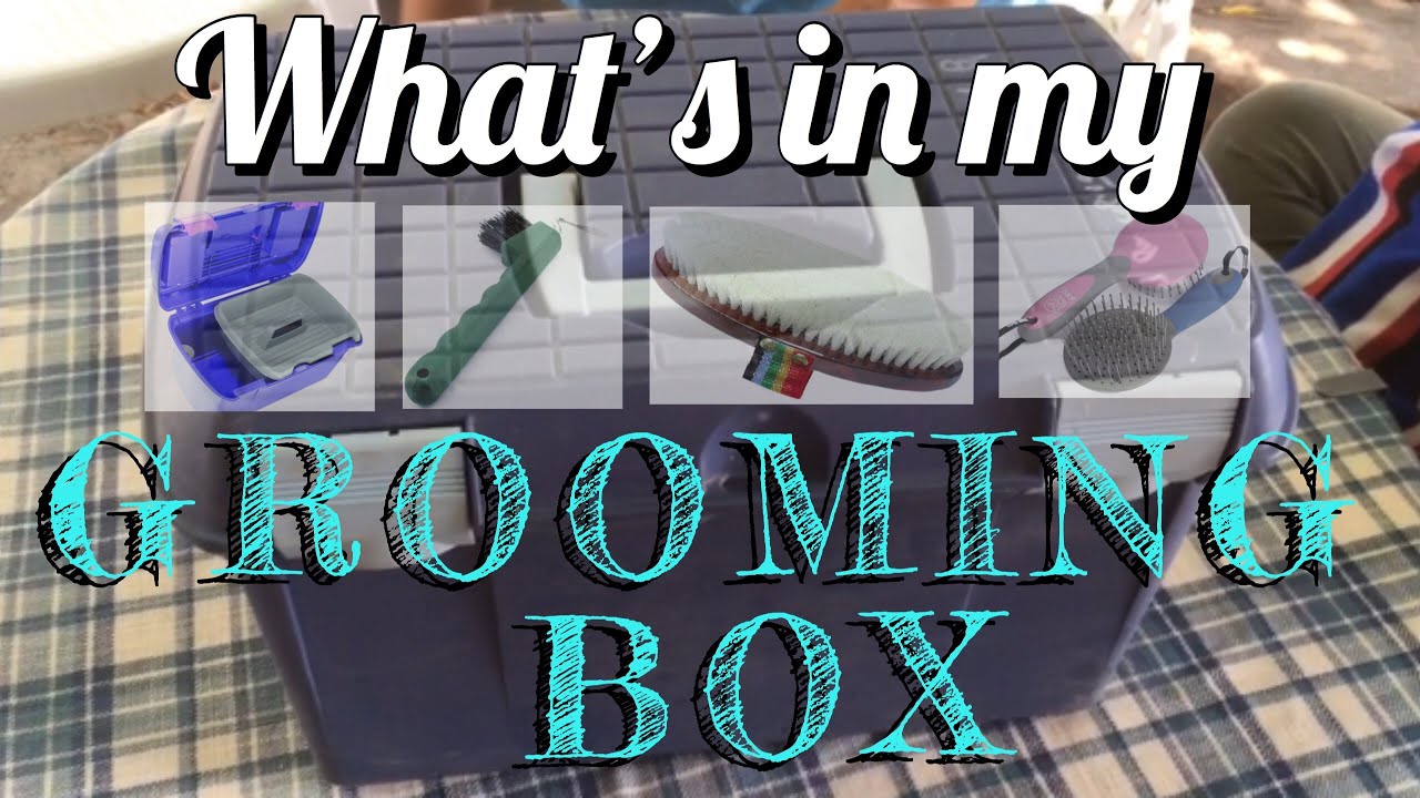 {CURIOSITÀ} What’s in my grooming box - VR