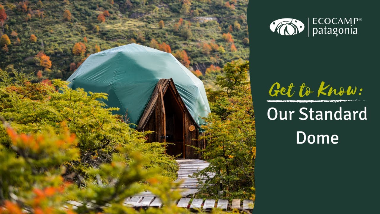 Get to know our Standard Dome