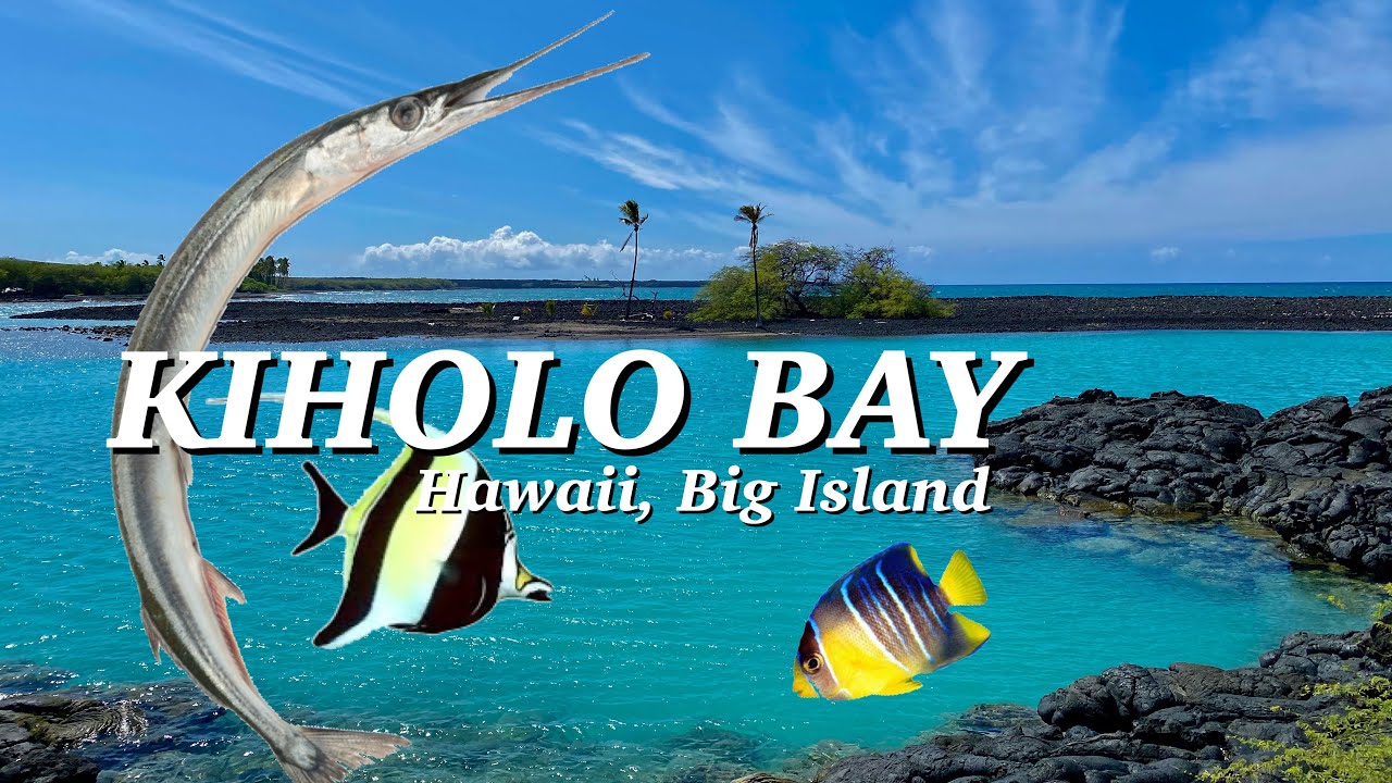 Kiholo Bay Hike | Wainanalii Pond | Lava Hike | Big Island Hawaii