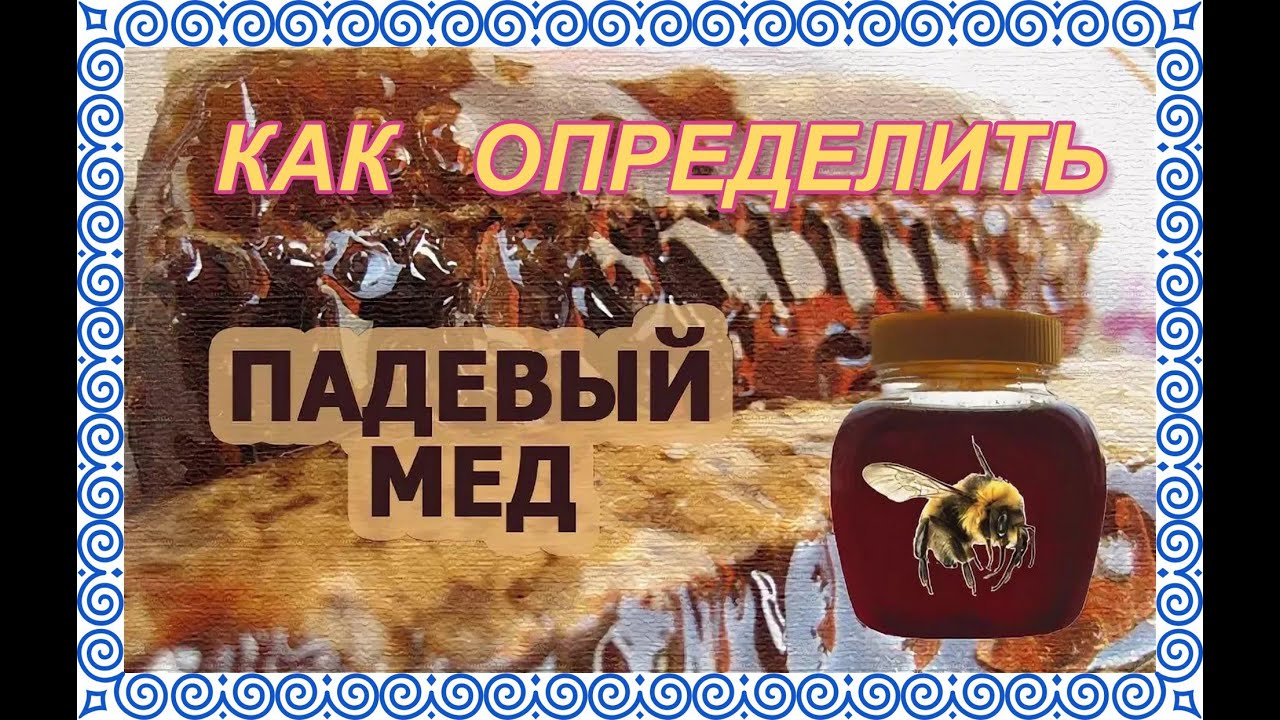 КОНТРОЛЬ МЕДА НА ПАДЬ.АНАЛИЗ НА ПАДЕВЫЙ МЁД В ДОМАШНИХ УСЛОВИЯХ.
