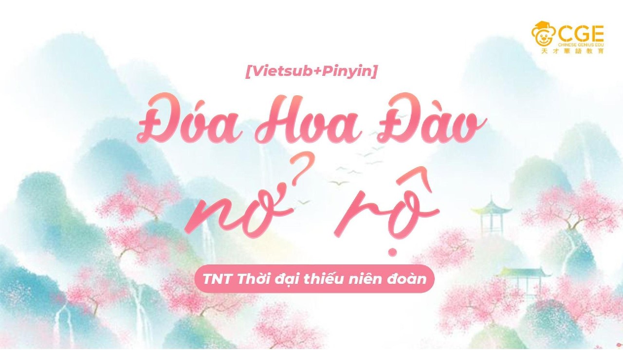 [Vietsub - Pinyin] Đóa hoa đào nở rộ - TNT Thời đại thiếu niên đoàn | 桃花朵朵开 - TNT 时代少年团