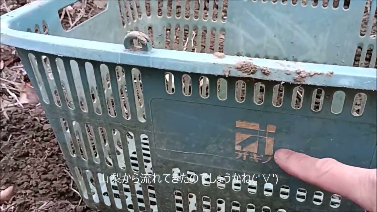 奥多摩湖の渇水状態　２月