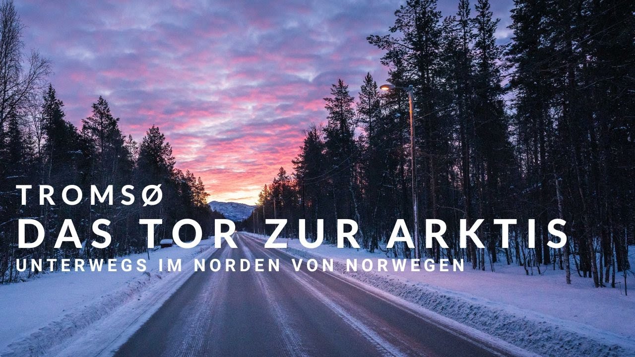 Tromsø - Das Tor zur Arktis - Husky, Whale Whatching, Sommarøy und Senja