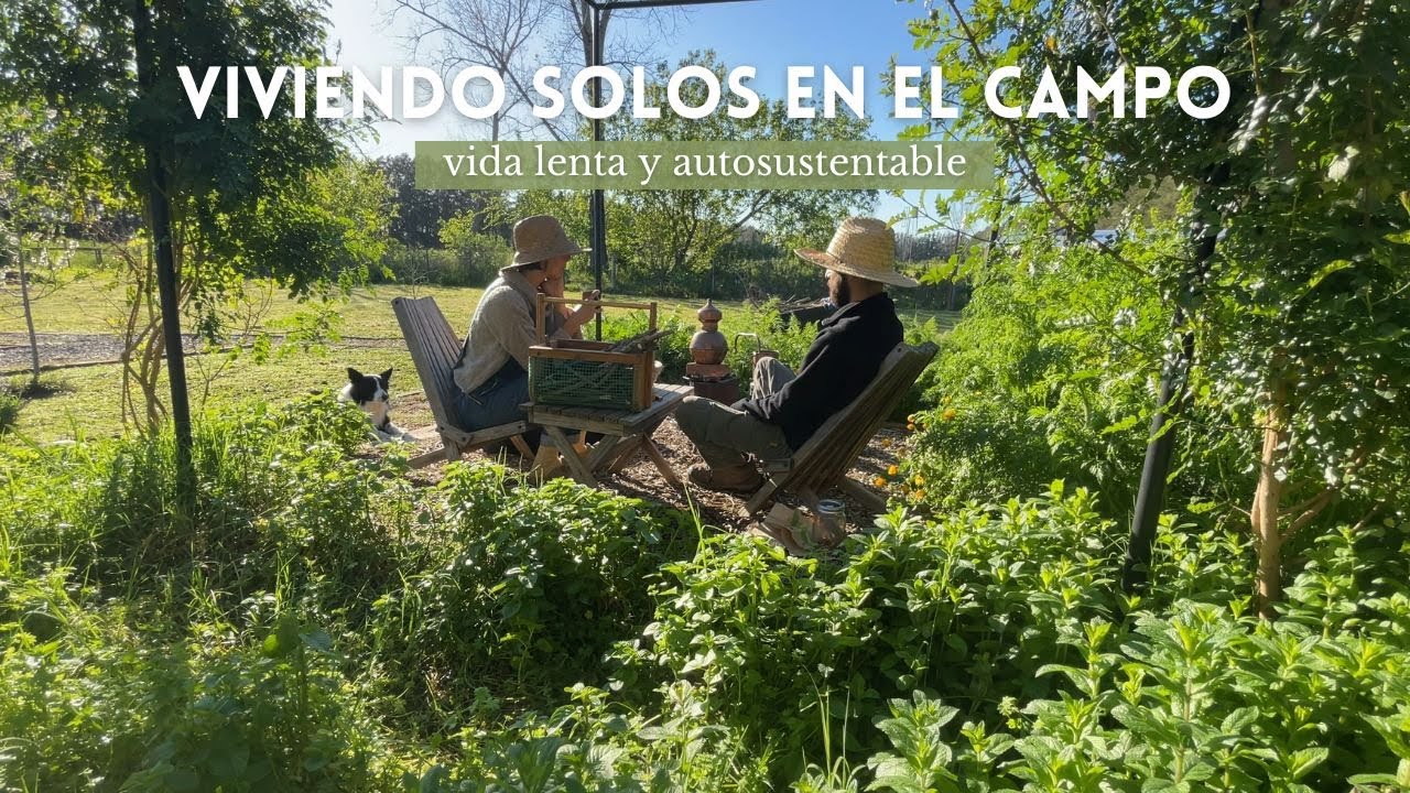 VIVIENDO SOLOS EN EL CAMPO | destilamos lavanda y manzanilla y seguimos con las tareas de la huerta.