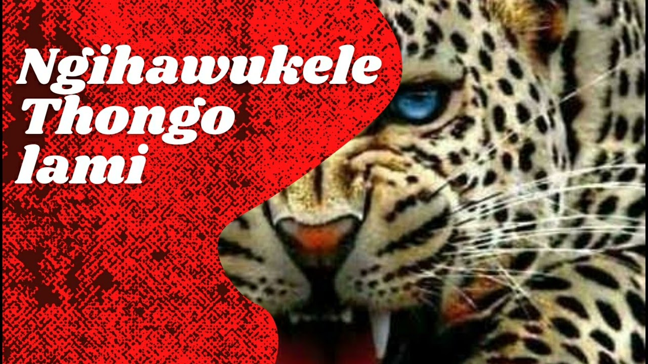 Ngihawukele Thonga Lami Song