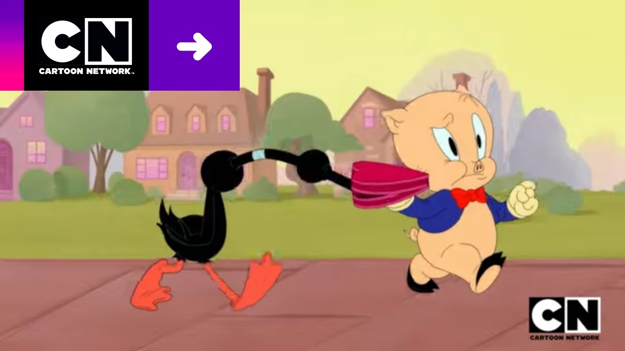 GRAN ESPECIAL DE SAN VALENTÍN DE LOS LOONEY TUNES | LOONEY TUNES CARTOONS | CARTOON NETWORK