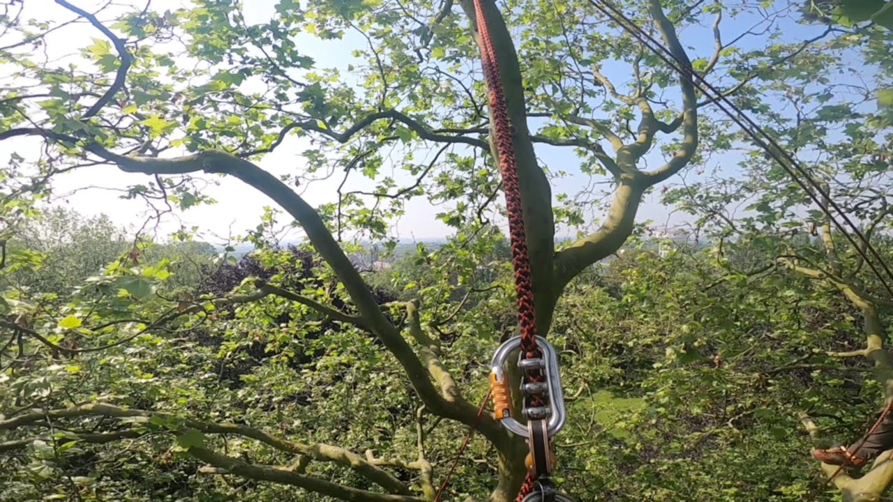 Arborist Grimpeur #0 #elagage #courant #sthil #petzl