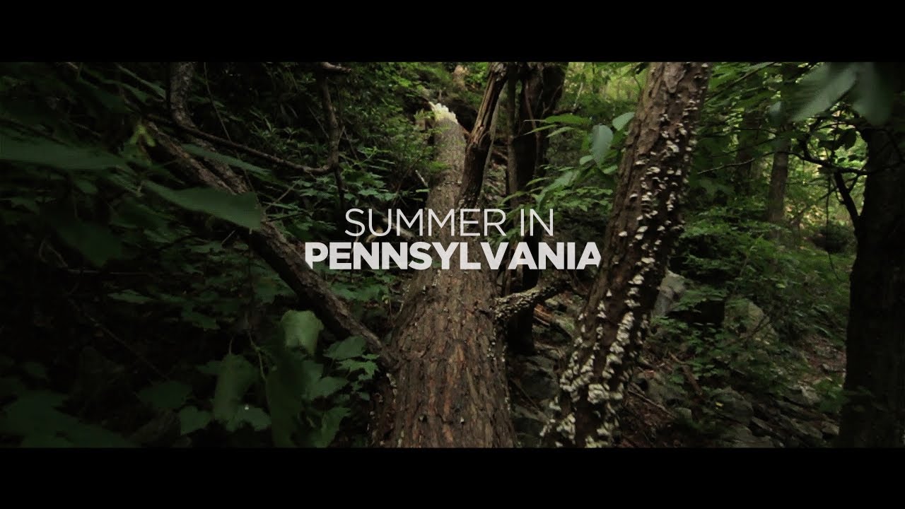 Summer In Pennsylvania