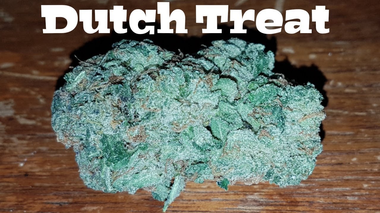 Strain Review - Dutch Treat