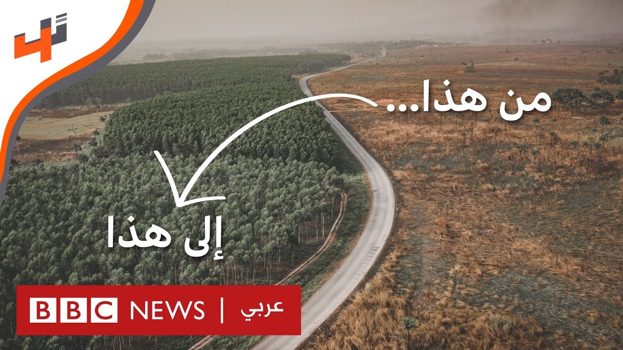 حملة لإعادة تأهيل الغابات والبحور باستخدام التكنولوجيا