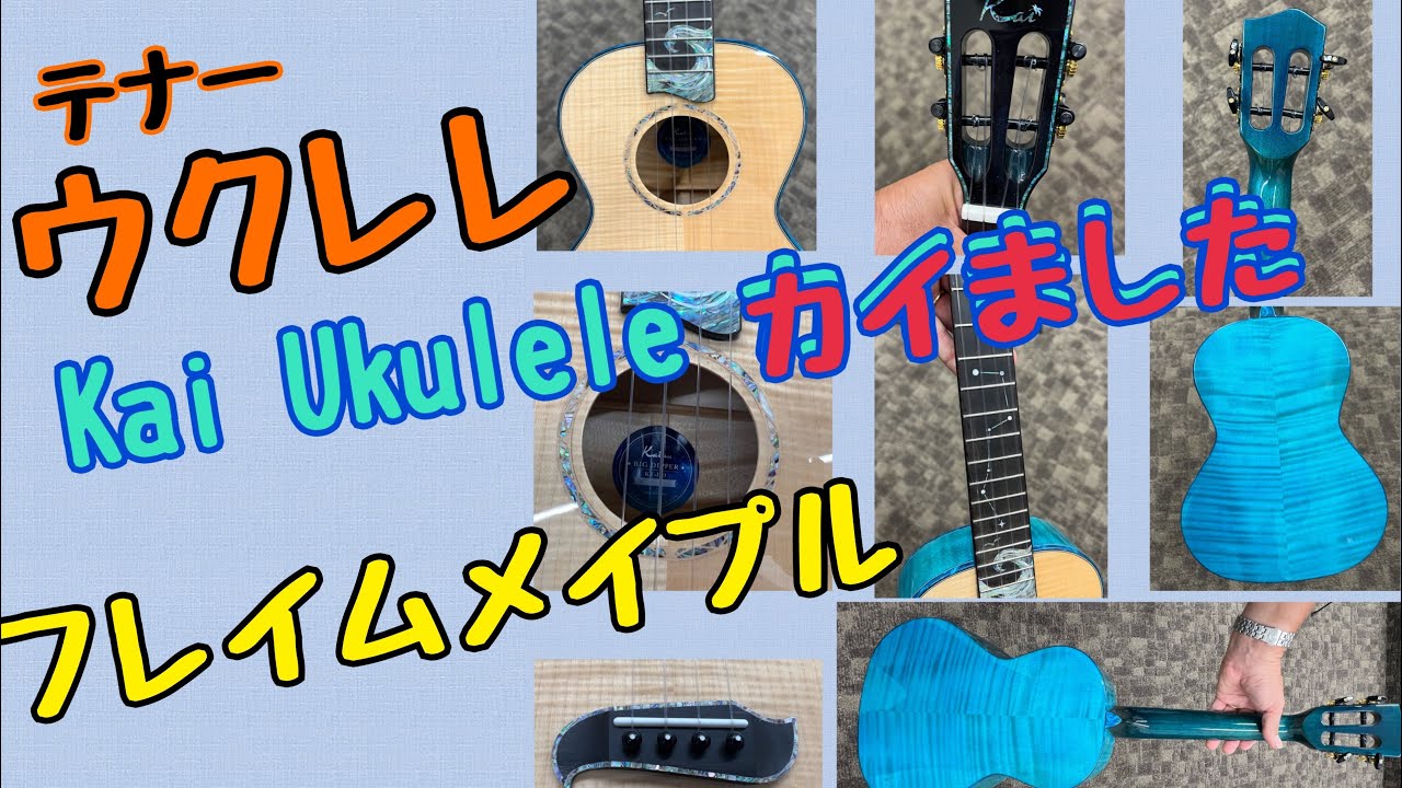 Kai ukuleleカイました。＃テナーウクレレ　＃キワヤ商会　＃フレイムメイプル　#ウクレレ  最後にカイマナヒラちょこっとだけ弾きました #KT-BD