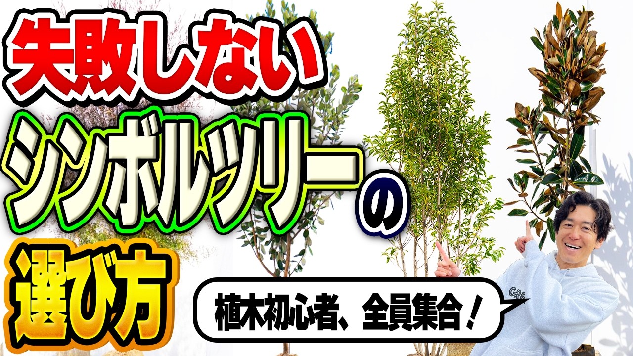 【木の名前知らない】でも絶対に失敗しない最新シンボルツリー6選