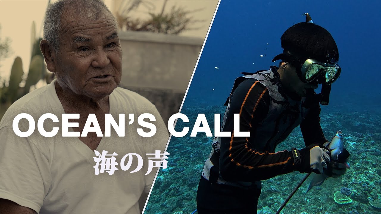 OCEAN'S CALL |  海の声