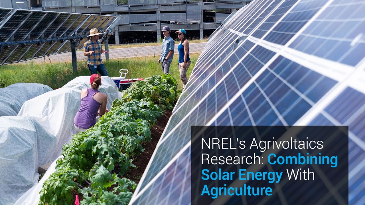 Agrivoltaics Research: Combining Solar Energy With Agriculture