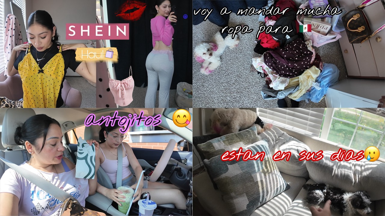 Mandar&eacute; mucha ropa y produtos para 🇲🇽 | Daisy y Sofia empezaron sus dias🤦🏻&zwj;♀️| SHEIN HAUL✨