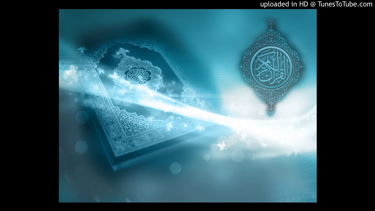 الشيخ المهندس/ محمد المقرمي: السلوك ومراتب الدين - مقطع صوتي