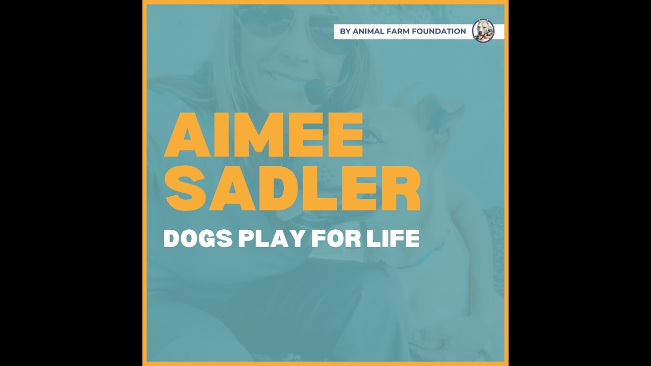 E5 | Let the dogs play, let the people learn, and let's all work together -  Aimee Sadler | Dogs ...