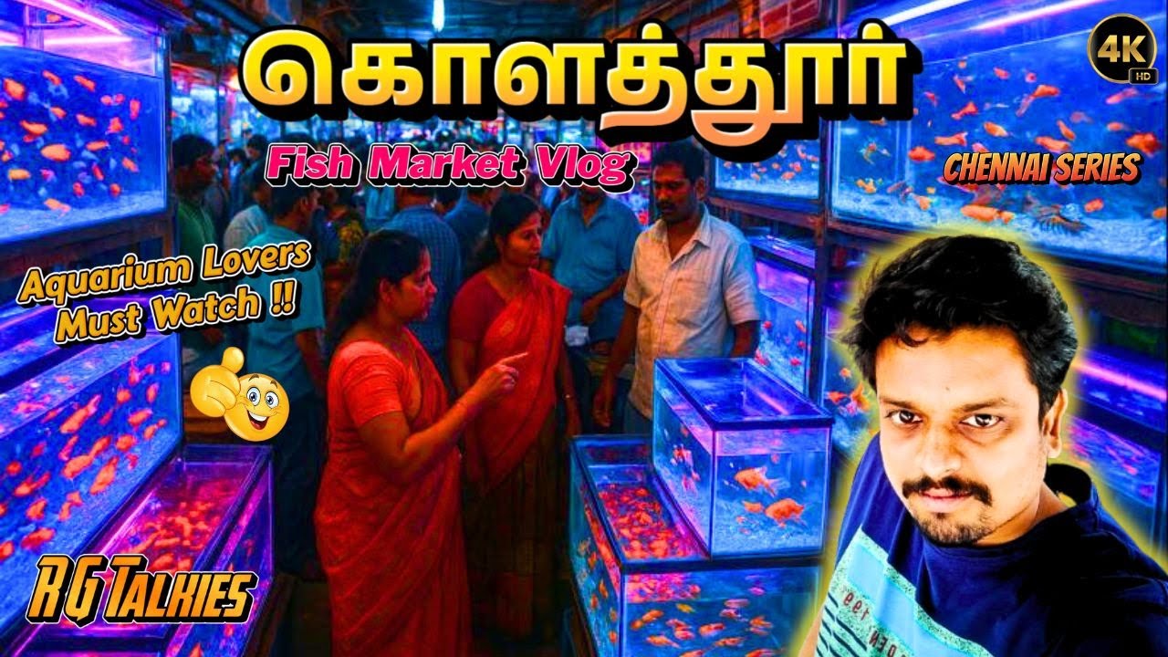 Kolathur Colour Fish Market Vlog 🐠 | Sunday Rush | Fish Tank & Colourful Fishes Shopping