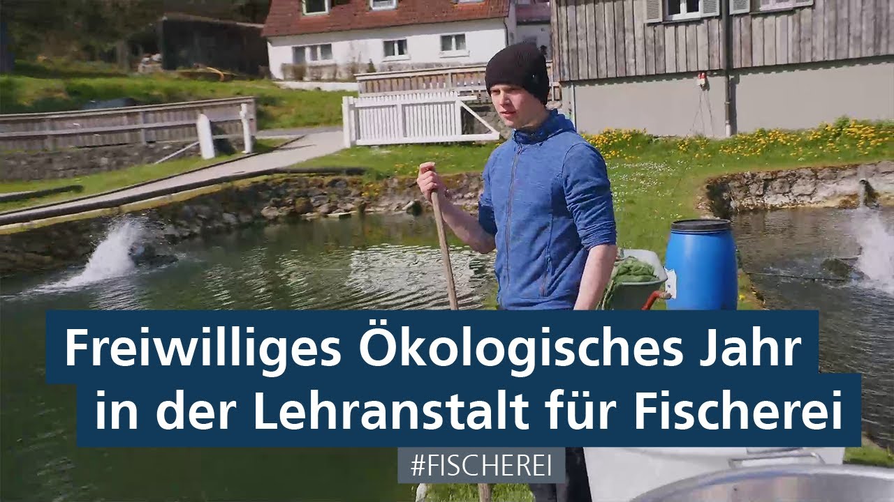 Freiwilliges Ökologisches Jahr in der Lehranstalt für Fischerei in Aufseß