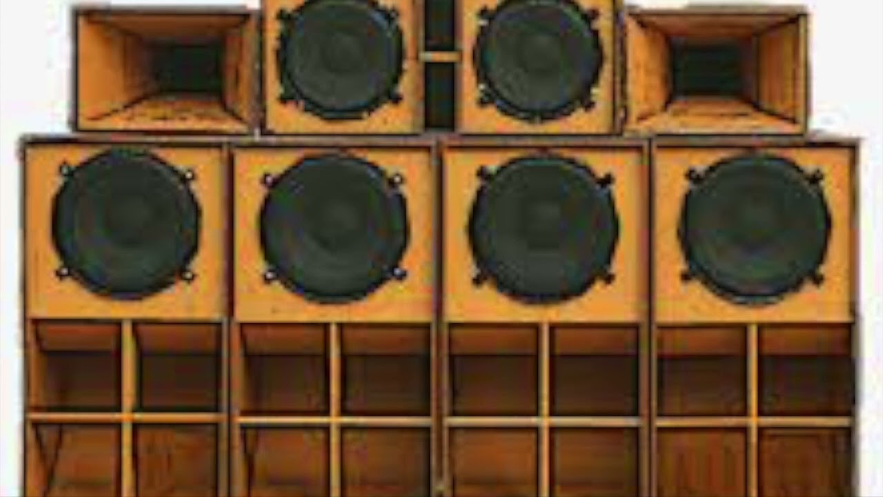 Tune In Sly And Robbie
