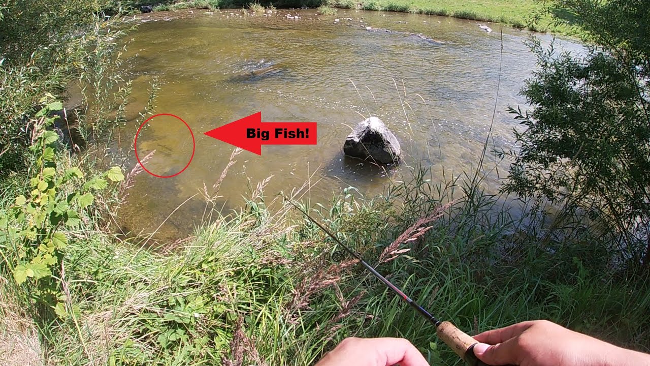 Fishing in the Sihl close to Adliswil, Zürich, Switzerland, lots of fish