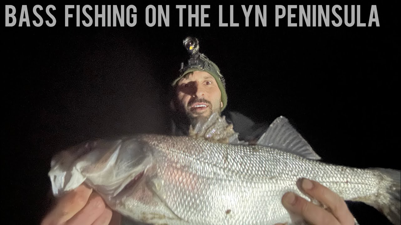 Bass fishing on the Llyn peninsula north wales 