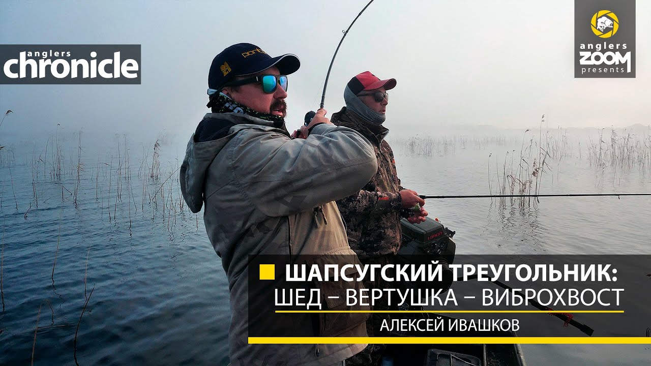 Шапсугский треугольник: шед &ndash; вертушка &ndash; виброхвост. Алексей Ивашков. Anglers Chronicle