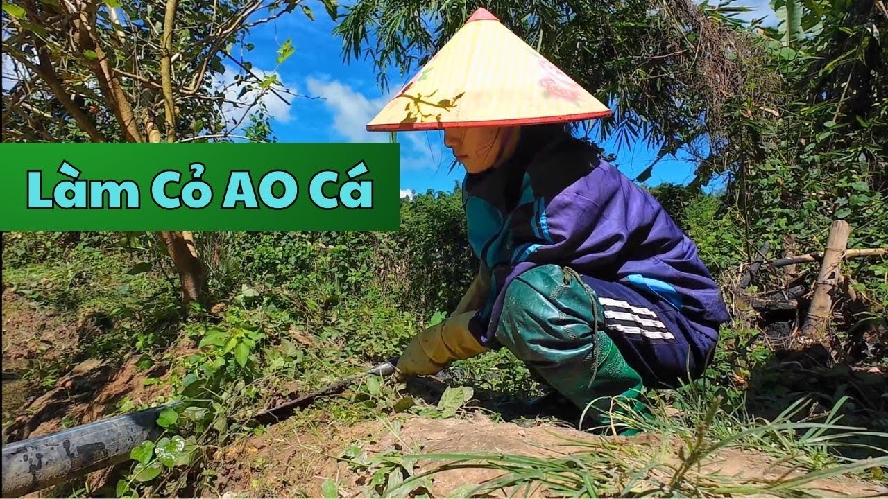 Buổi Sáng Ở Bản , Dọn Cỏ Ao Cùng Mẹ Và Anh Rể || NẬM kHUM