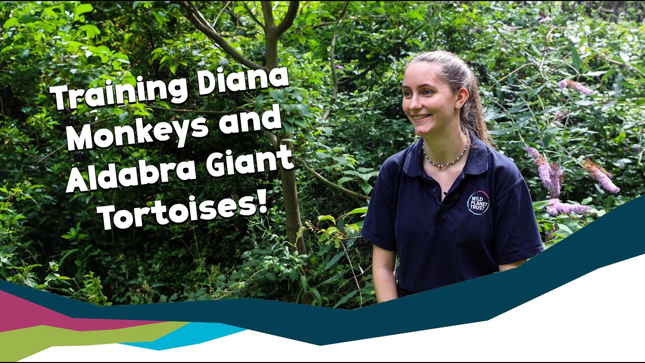 Natalie Discusses Her Student Placement Experience at Wild Planet Trust