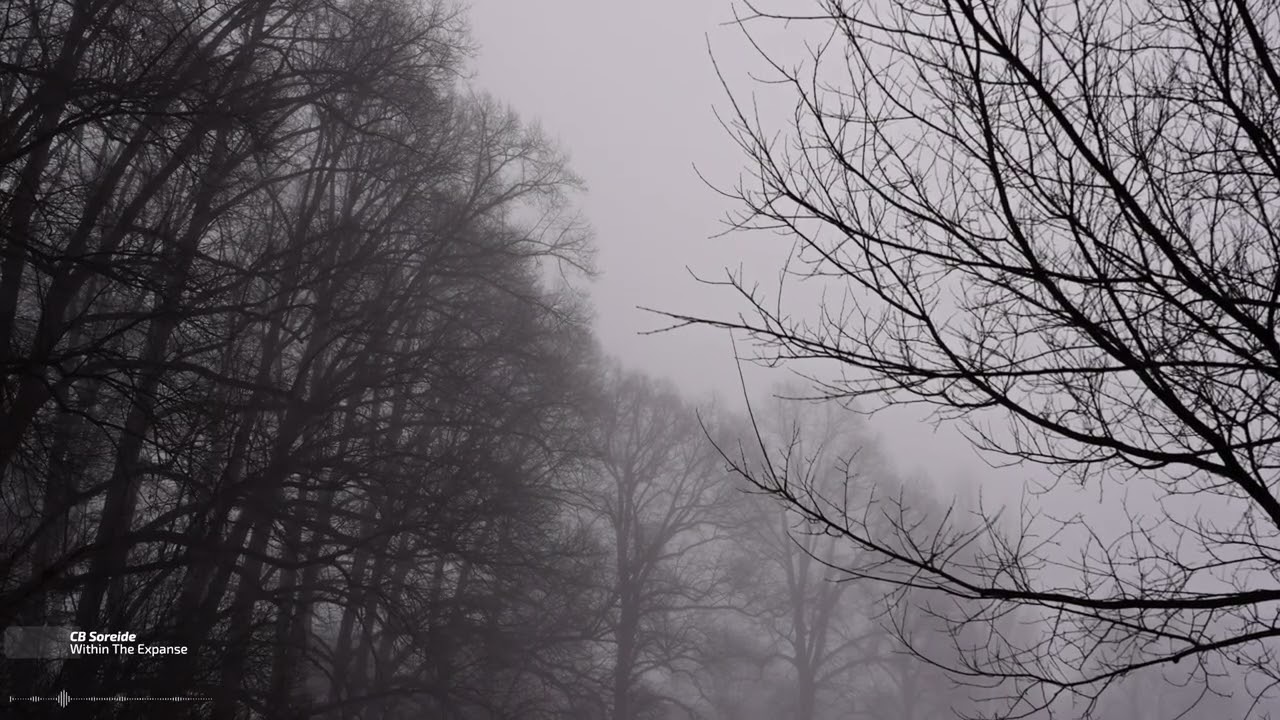 CB Soreide – Within The Expanse | Slow Psy / Ambient Trance