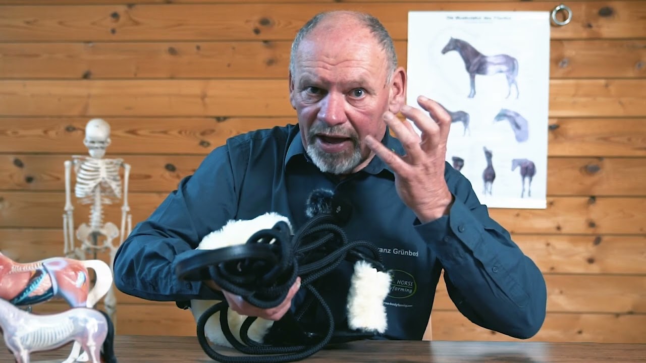 Was ist HORSE bodyforming und wie ist es entstanden?