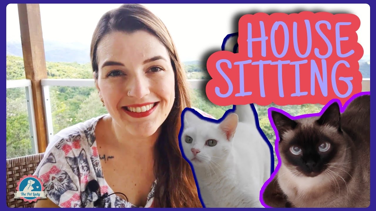 VOC&Ecirc; SABE O QUE &Eacute; HOUSE SITTING? - informa&ccedil;&atilde;o + vlog! - The Pet Lady