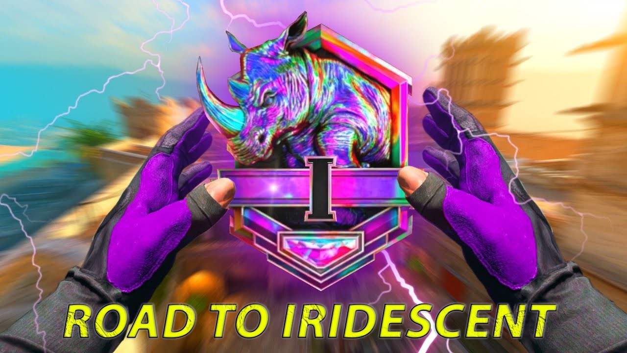 ROAD TO TOP 250 WARZONE
