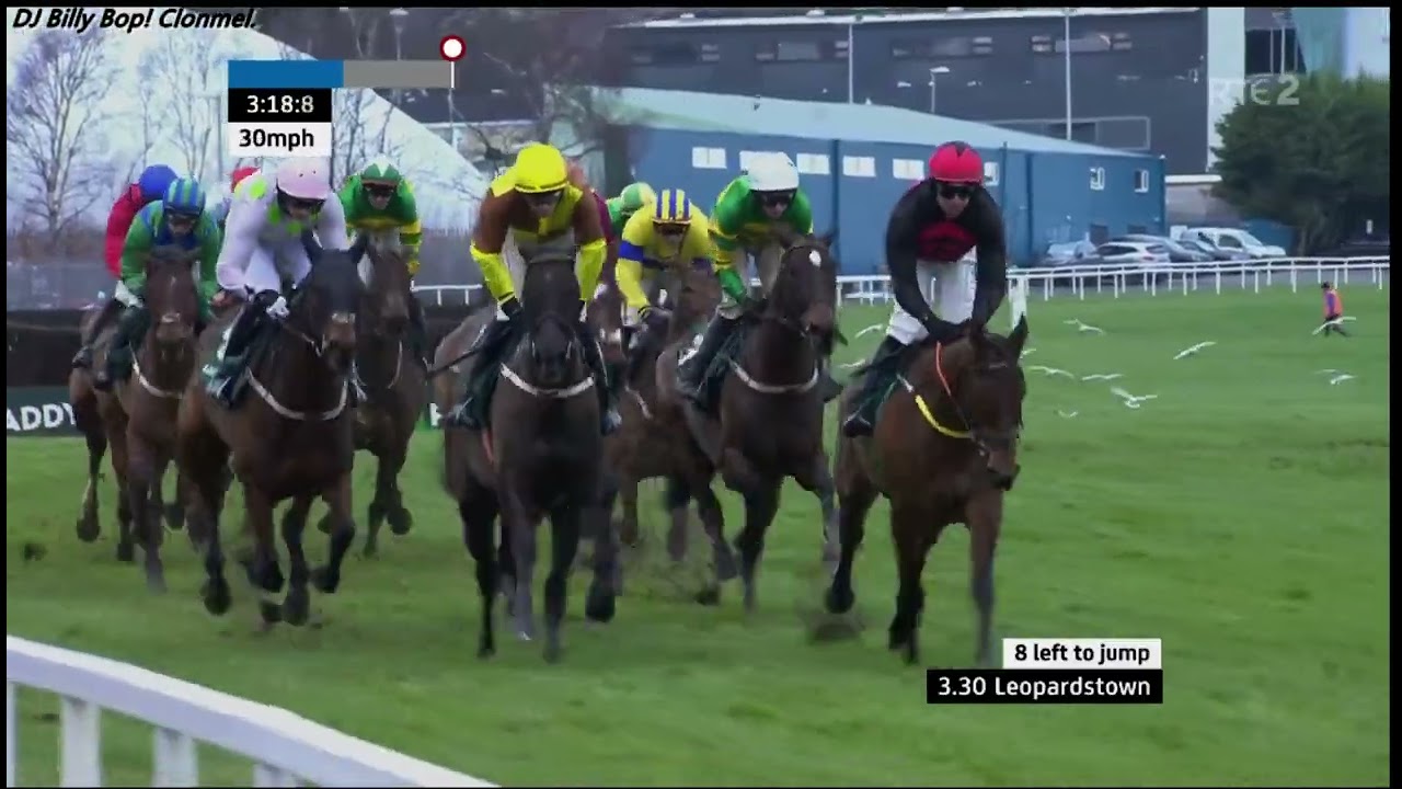🏇🏇🏇🏇 (5) 15:30 Leopardstown (IRE) 02 Feb 2026 Paddy Power Irish Gold Cup  Winner &euro;142,500 - 12 run