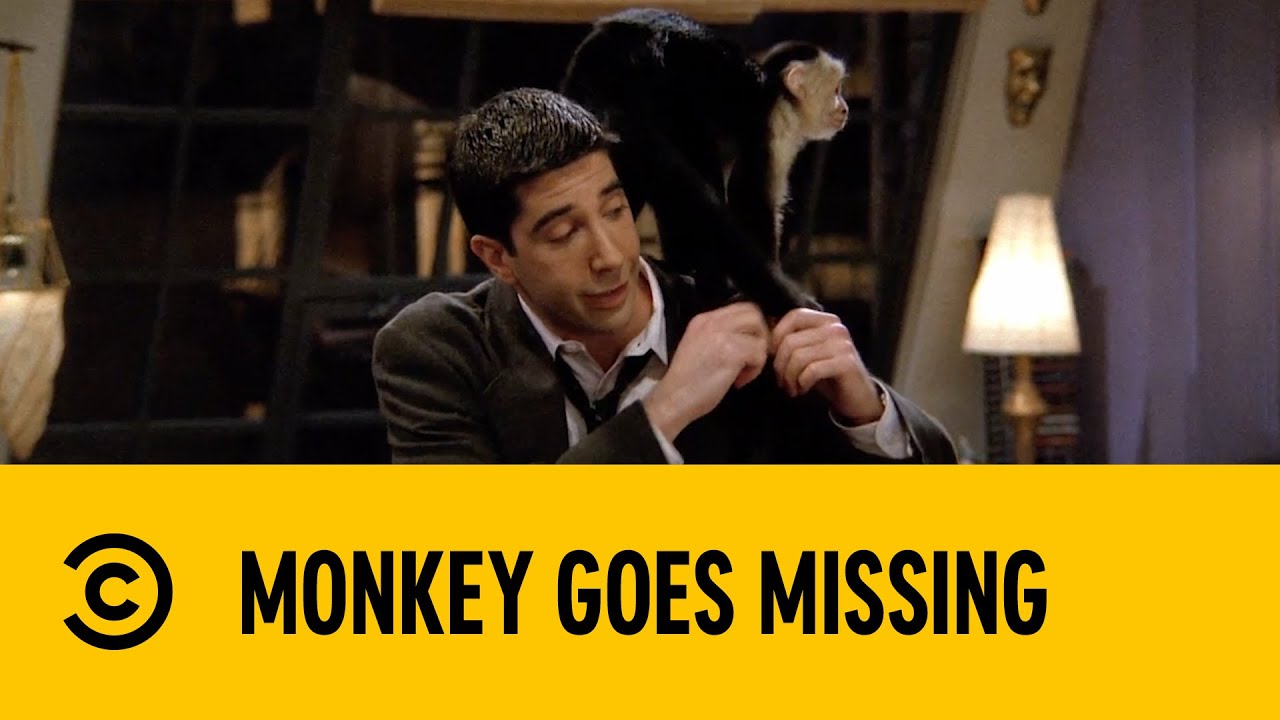 Monkey Goes Missing | Friends | Comedy Central Africa